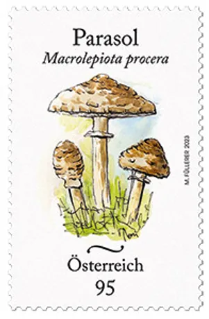 baf59aa377638fa32d4350665c8c7b76758eccd8.jpg