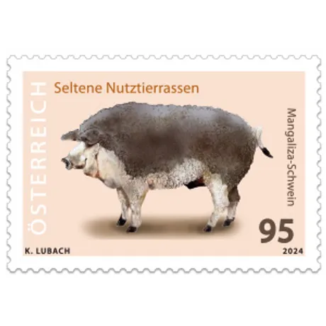224150 Briefmarke Österreich 2024, Nominale 0,95 Euro: Seltene Nutztierrassen, Motiv Mangalitza-Schwein auf beigem Hintergrund.