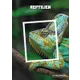 125606_COVER_REPTILIEN_SHOP Austrian Post stamp collection 2023: 'Reptiles' theme featuring a colorful chameleon. Includes 20 stamps.