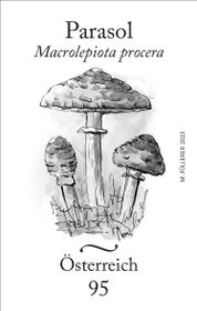 &quot;Parasol&quot; Schwarzdruck