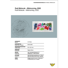 "Rudi Molacek – Midmorning, 2022" Explanatory Sheet