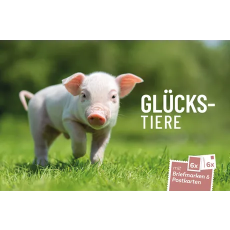 01db2d17d5bf9ff2e01d9150fd10f94c543ca5d5.png Motiv der Österreichischen Post: Ferkel auf Wiese mit Text 'Glückstiere', Teil eines Sets mit 6x Briefmarken und Postkarten.