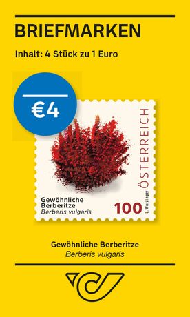 100_Berberitze_BMS4