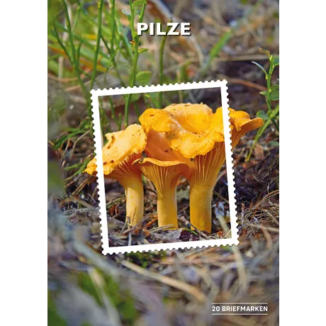 Briefmarkenblock der Österreichischen Post mit Pilzen, Nahaufnahme von gelben Eierschwammerln im Wald.