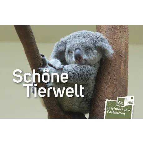 Koala on a tree with text 'Schöne Tierwelt' and Austrian Post stamps and postcards promotion.