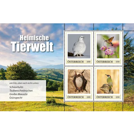 Briefmarkenblock „Heimische Tierwelt“ mit vier österreichischen Marken zu je 100 Cent. Abgebildet sind: Schneehuhn (oben links), Taubenschwänzchen (oben rechts), Großes Mausohr (unten links) und Grünspecht (unten rechts) vor einer natürlichen Landschaft. Briefmarkenblock „Heimische Tierwelt“ mit vier österreichischen Marken zu je 100 Cent. Abgebildet sind: Schneehuhn (oben links), Taubenschwänzchen (oben rechts), Großes Mausohr (unten links) und Grünspecht (unten rechts) vor einer natürlichen Landschaft.