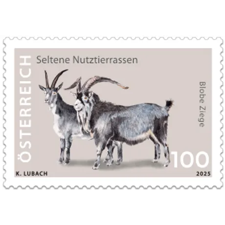 Austrian stamp 2025, nominal value 1.00 Euro: Rare livestock breeds, featuring Blobe goats.